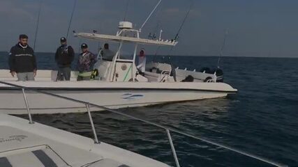 Чайка над котлом и kingfish по кругу - рыбалка в Абу-Даби с лодки