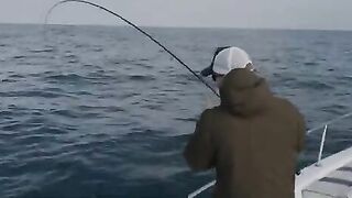 Чайка над котлом все показала сразу, а кинг у Абу-Даби потом пошел один за другим