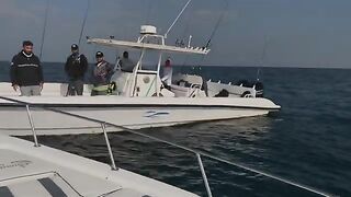 Чайка над котлом все показала сразу, а кинг у Абу-Даби потом пошел один за другим