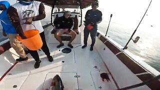 Сначала уже резали рыбу под сашими, а желтоперый в Фуджейре потом еще заставил побегать