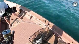 Из-за отлива выехали позже, а к северу от Као Лака день все равно собрался в поппинг и джиг