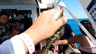 Котенок на борту вел себя спокойнее нас, а в Хургаде клевать начало только после рассвета