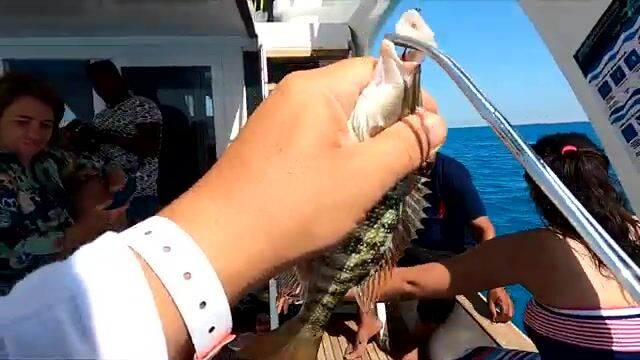 Рассветная яхта - морская рыбалка в Хургаде с кальмаром и жаркой улова