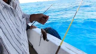 Собрали лучших рыбаков отеля, а в Хургаде все равно пришлось сначала просто искать рыбу
