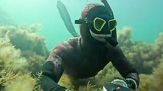 Снарягу взял почти случайно, а на Кошке все-таки полез за горбылем и не зря