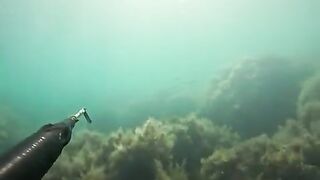 Снарягу взял почти случайно, а на Кошке все-таки полез за горбылем и не зря