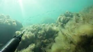 Снарягу взял почти случайно, а на Кошке все-таки полез за горбылем и не зря