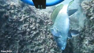 Волна с утра пугала сильнее воды, а под Меганом я все равно нашел и рыбу, и краба