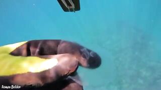 Волна с утра пугала сильнее воды, а под Меганом я все равно нашел и рыбу, и краба