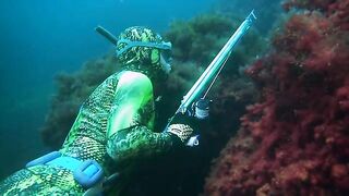 С нормальной рыбой в Черном море все оказалось сложнее, чем это выглядит со стороны