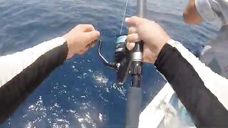 С Мишей шутили до первой поклевки, а желтоперого на Шри-Ланке я в итоге снял джигом