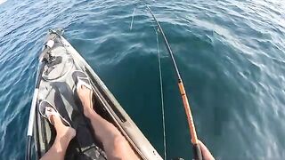 За пеламидой шел упрямо, а Тарханкут в тот день все равно повернул рыбалку по-своему