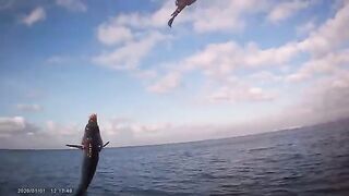 В Золотой бухте в Анапе первую морскую рыбалку начал по-простому - три крючка и груз 30 граммов