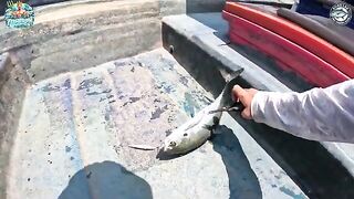 Стикбейты вместо попперов - рыбалка на Као Лаке с Captain Ninja