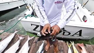 Канкун и 200 футов вниз - рыбалка в Мексике на глубине