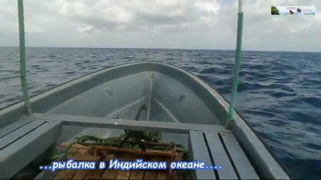 Нунгви, дождь и утренний троллинг - рыбалка в Нунгви с океанским выходом