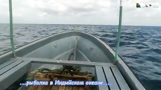 Нунгви, дождь и утренний троллинг - рыбалка в Нунгви с океанским выходом