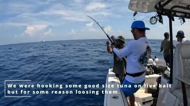 Попперы уступили живцу у TH Atoll - морская рыбалка на Мальдивах по yellowfin