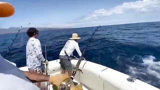 Cavalier у Гран-Канарии - рыбалка на Канарах за марлином