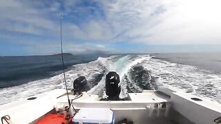 Плоский остров, GT и дельфины - рыбалка на Маврикии с лодки