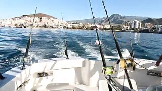 Яхта Sofia и тунец у Тенерифе - рыбалка на Тенерифе