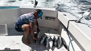 Яхта Sofia и тунец у Тенерифе - рыбалка на Тенерифе