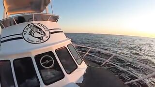 Корал-Бей, ночь и розовый снаппер - рыбалка в Австралии с лодки