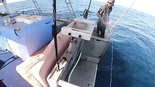 Корал-Бей, ночь и розовый снаппер - рыбалка в Австралии с лодки