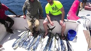 Короткий выход у Занзибара - рыбалка на Занзибаре с лодки