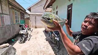 Бали, Ломбок и местные лодки - рыбалка на Бали с местными