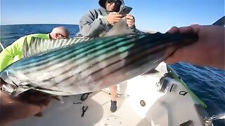 Гран-Тарахаль и чартер Kleie - рыбалка на Канарах на железо