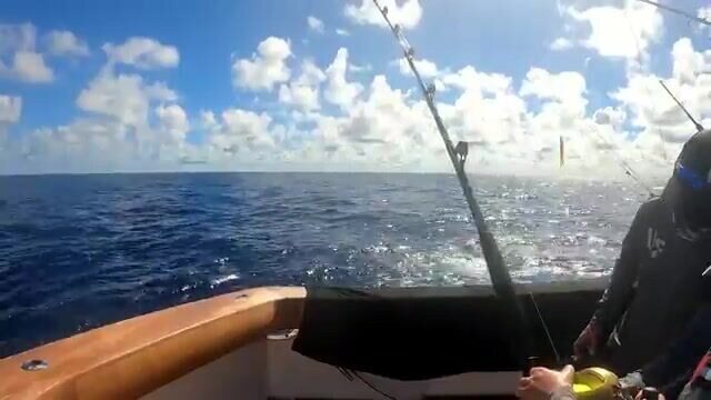 Большие наживки в дальней воде - рыбалка на Сейшелах за марлином