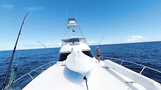 Большие наживки в дальней воде - рыбалка на Сейшелах за марлином