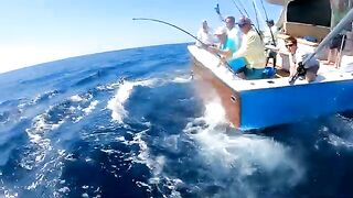 Carolina Gentleman у Исла-Мухерес - рыбалка в Мексике на sailfish