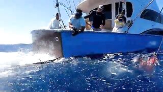 Carolina Gentleman у Исла-Мухерес - рыбалка в Мексике на sailfish