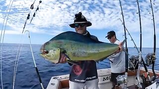 Глубокий джиг и акулы - рыбалка на Сейшелах на лучшей сессии