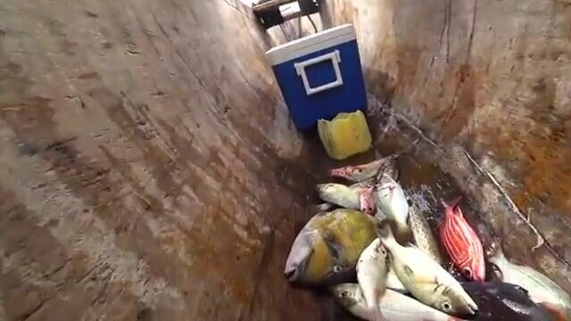 Парусное каноэ и риф - рыбалка на Занзибаре
