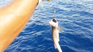 Анталия, плетенка и рыба на пять кило - морская рыбалка в Турции