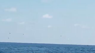 Праслин в ноябре - рыбалка на Сейшелах с джигом и тунцом