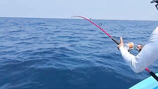 Живец на рассвете и двойная поклевка - рыбалка на Шри-Ланке