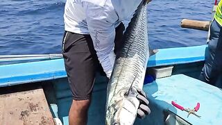 Живец на рассвете и двойная поклевка - рыбалка на Шри-Ланке