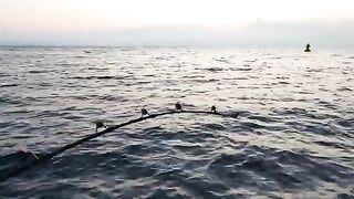 Двойная поклевка по тунцу - морская рыбалка в Турции на катере