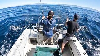 500 метров под лодкой в Кайкоуре - рыбалка в Новой Зеландии