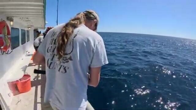 Galveston Party Boats и первый тунец 2026 - рыбалка в Техасе