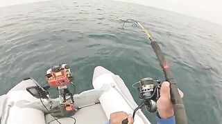 Самый крупный групер дня после ремонта приманки