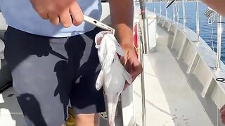 240 метров и slow jig - экскурсия на рыбалку в Кемере