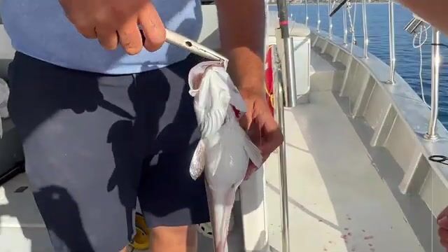 240 метров и slow jig - экскурсия на рыбалку в Кемере