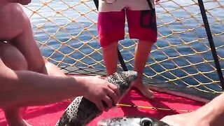 Иглобрюх у борта: морская рыбалка в Турции на лодке