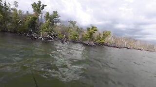 Снук до сервиса и грозовой заход - рыбалка в Флориде