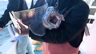 Весенний Eastman's с отцом и братьями: рыбалка в США